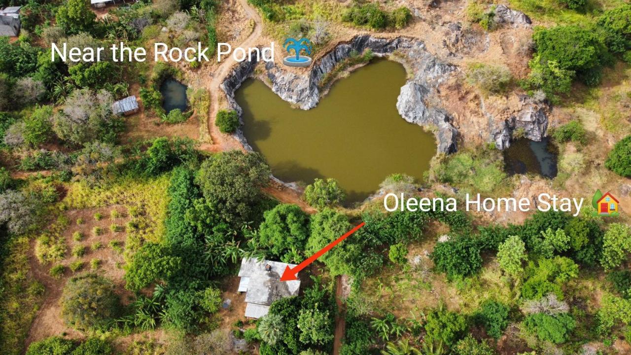 Oleena Home Stay Habarana Exterior foto